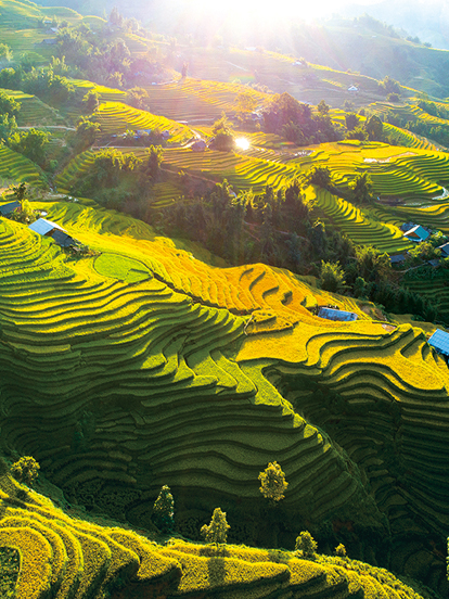 Vietnam